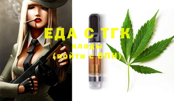 индика Мегион