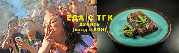 индика Мегион