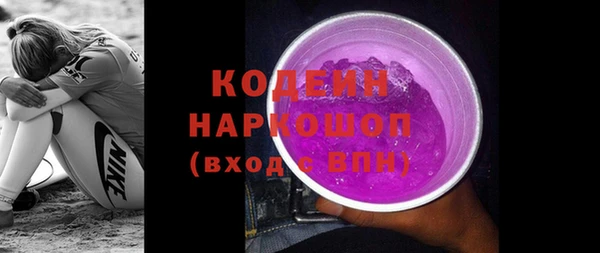 индика Мегион