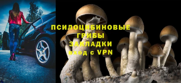 не бодяженный Абдулино