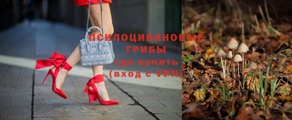 индика Мегион