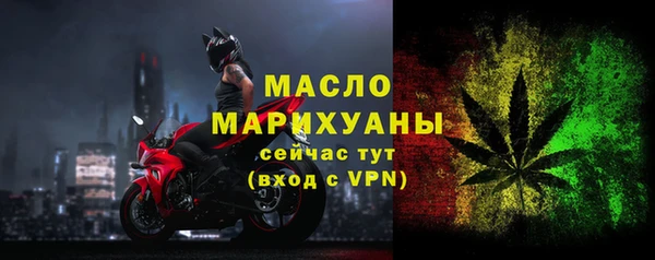 индика Мегион